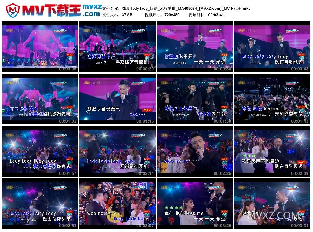 魏晨-lady lady_国语_流行歌曲_MA409034